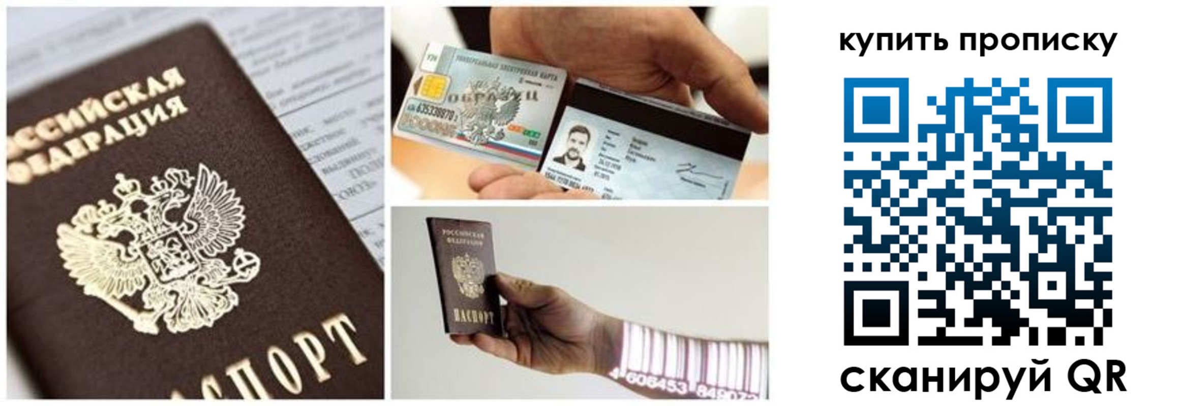 прописка законно в Болотном
